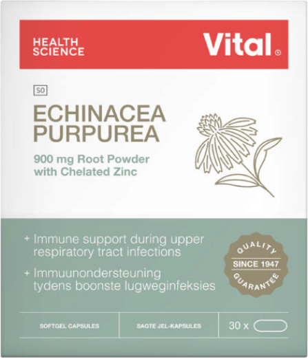 Picture of VITAL ECHINACEA PURPUREA CAPSULES - 30'S